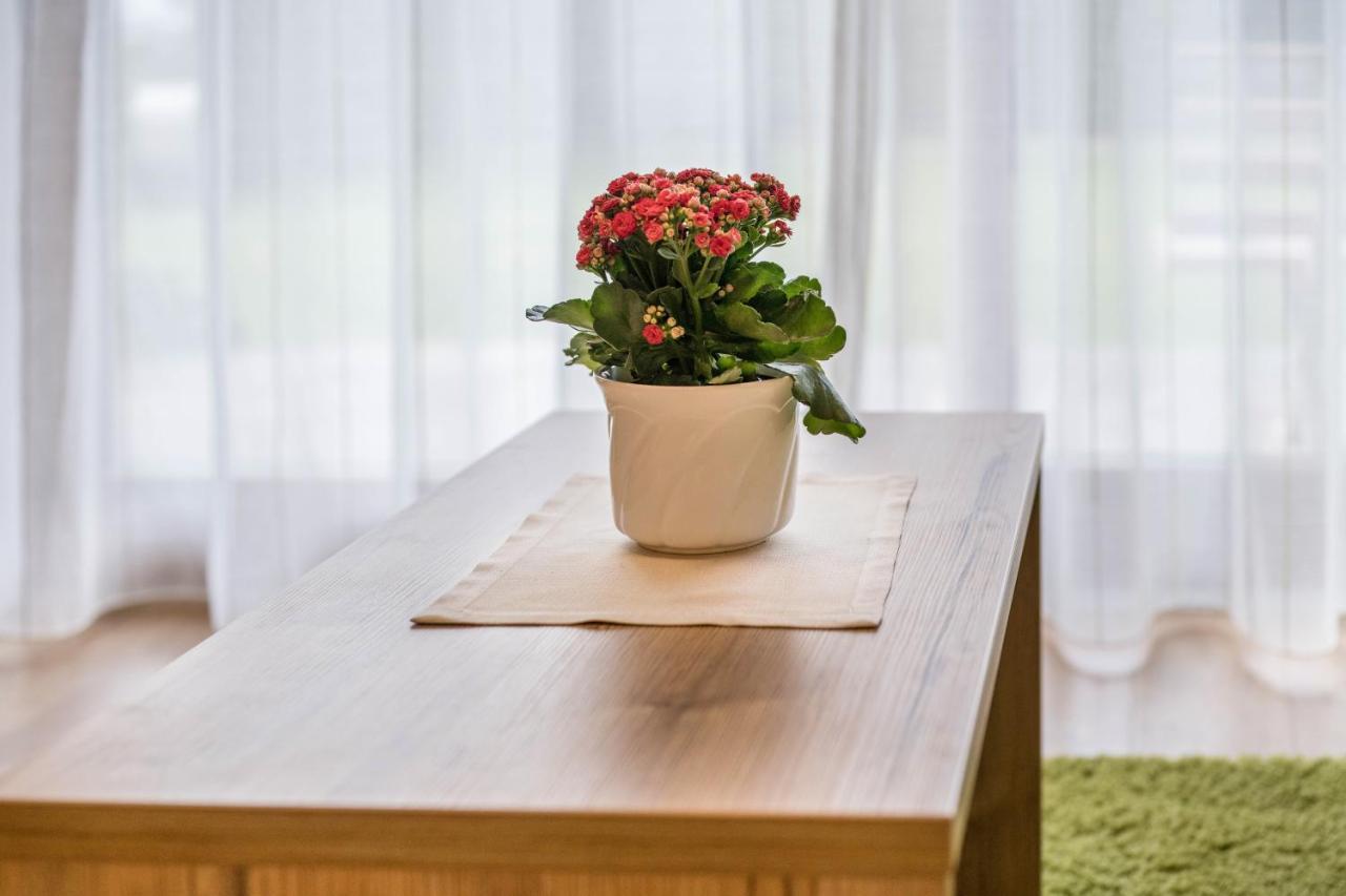 Haus Zur Vogelweide App 1 Daire Dobbiaco Dış mekan fotoğraf